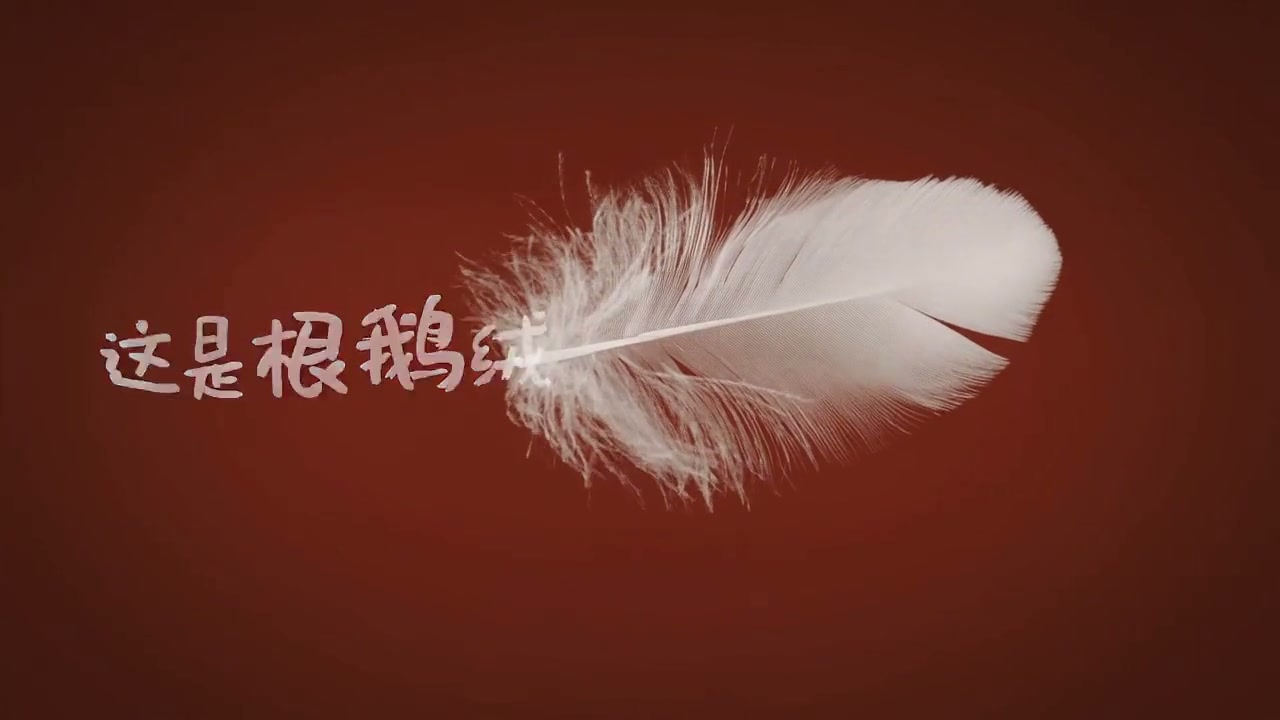 Seedance 2.0 AI generated video example - 20