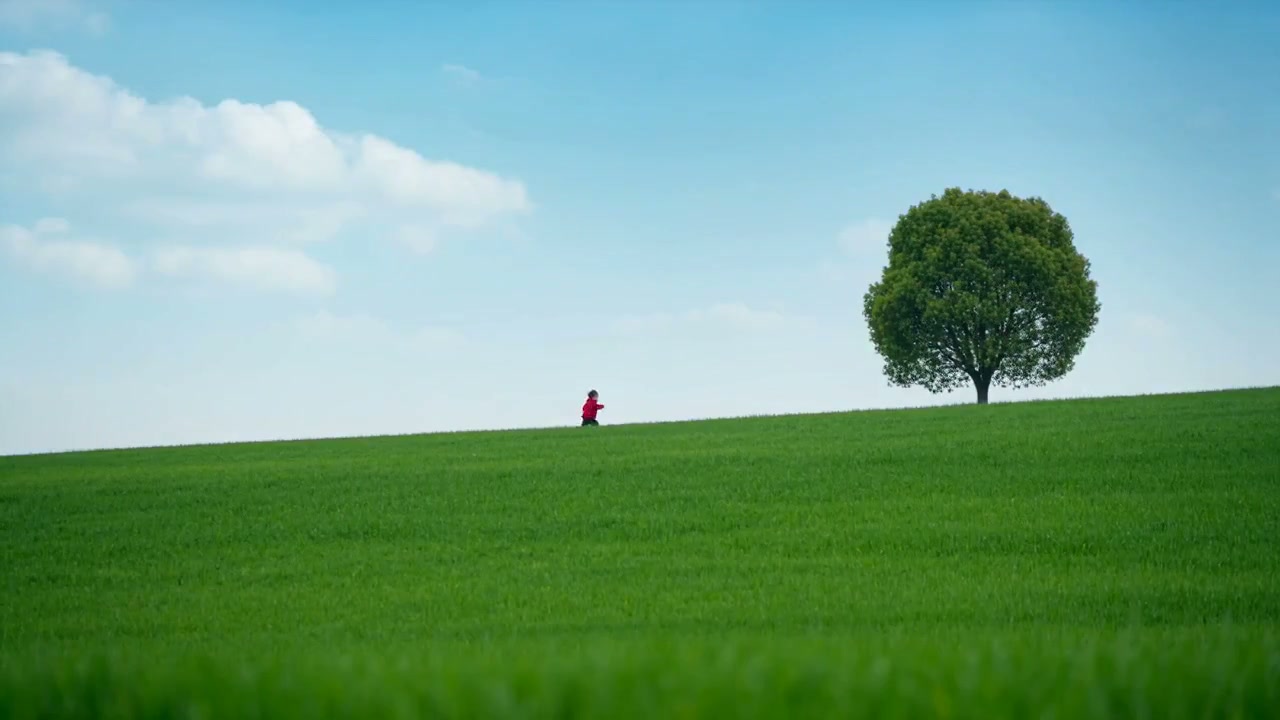 Seedance 2.0 AI generated video example - 25